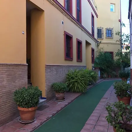 Clb Alameda Siviglia